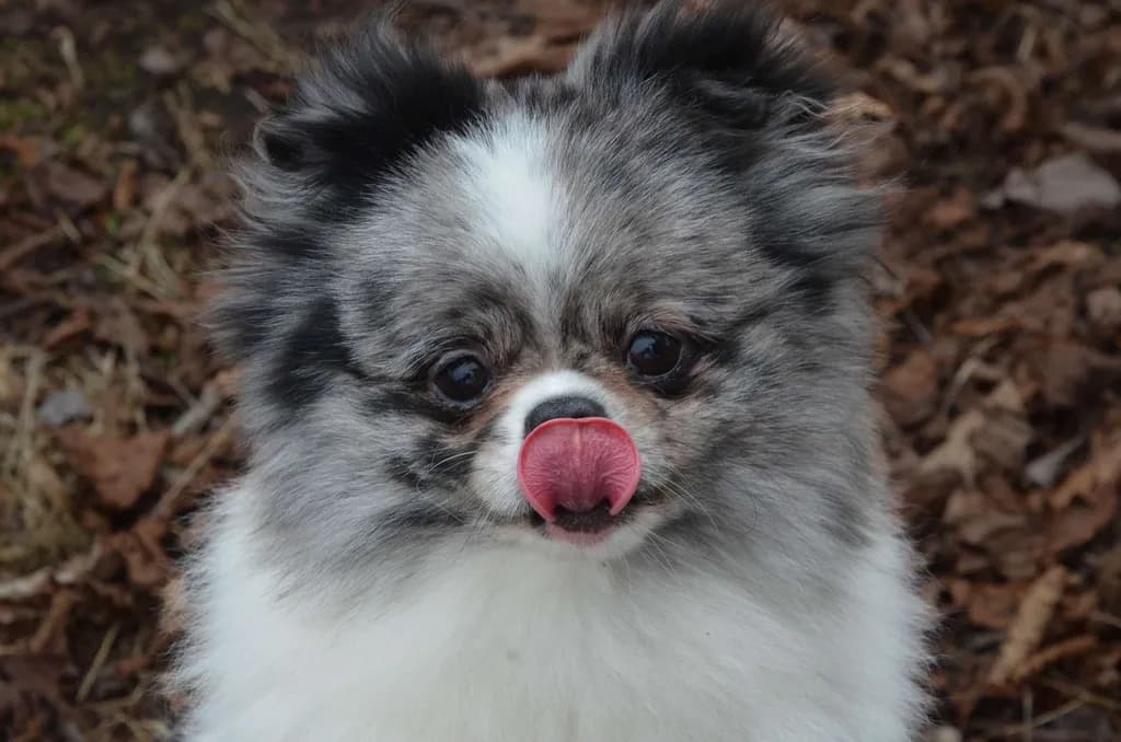 Hero section bottom image