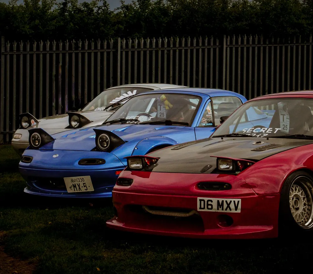 Hero section bottom image